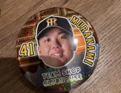 Item thumbnail for item 3b1d5771-ac45-4dad-bad8-594f0d15e4c2