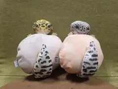 Item thumbnail for item b120fe63-ac7b-4001-a220-1999ea70f4d3