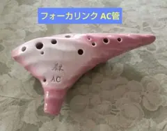 2025年最新】focalinkの人気アイテム - メルカリ