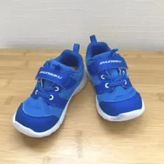 Item thumbnail for item d7b5afe9-6efc-4d24-8ad7-978cedd614f2