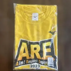 阪神タイガース　A.R.E. Tシャツ 2023 Lサイズ