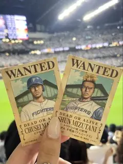 未使用 ファイターズ ワンピース 万波中正 水谷瞬 ステッカー 2枚セット