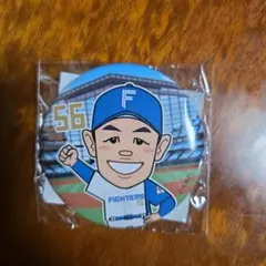 日本ハムファイターズ　細川凌平