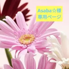 ★Asaba☆様専用ページ★