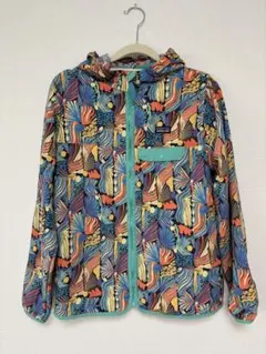 patagonia マウンテンパーカー マルチカラー