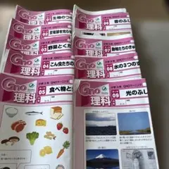 ✳️ グノーブル　小5算数　新版 30冊　フルセット ✳️ グノーブル 小5算数 新版 30冊 フルセット ️ グノーブル