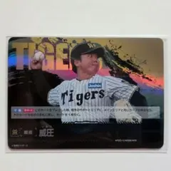 Item thumbnail for item 559bbf62-e991-4139-916d-2b2ec8cafae9