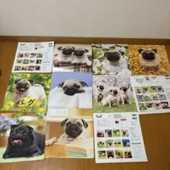 パグ カレンダー 使用済　パグ写真