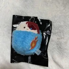 僕のヒーローアカデミア ヒロアカ くるみたぴぬい 轟焦凍