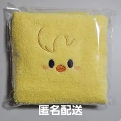 ペンミ入場特典 Stray Kids フィリックス ポガリ タオル ポーチ付き