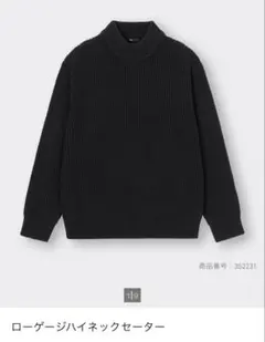 ローゲージハイネックセーター