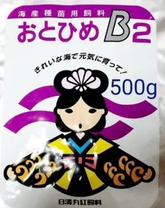 メダカの餌 日清丸紅 おとひめB2 500g 熱帯魚 グッピー アクアリウムのサムネイル