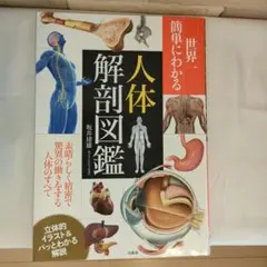 ノア様 リクエスト 2点 まとめ商品