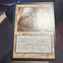 MTG 陰謀団の貴重品室　foil　トーメント MTG 英語版 foil 陰謀団の貴重品室 トーメント 買取：《陰謀団の