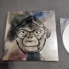 ザ・クロマニヨンズCD