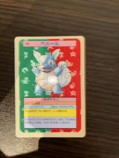ポケモンカード トップサン カメール 裏青