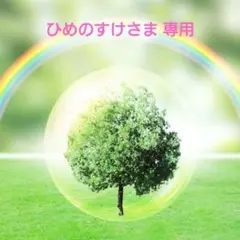 ひめのすけ様 リクエスト 2点 まとめ商品