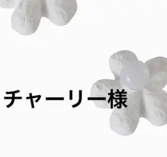 チャーリー様　専用