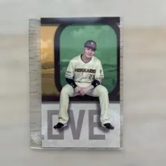 北海道日本ハムファイターズ　ステッカー　清宮幸太郎選手 エスコン非売品