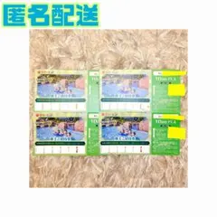 1995年 第88回 京都記念 ライスシャワー、1着馬ワコーチカコ他単勝馬券