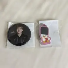 RIIZE ランダムトイ　缶バッジ　マグネットアクリルチャーム　ソヒ