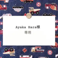 Ayaka Hara様専用【持ち手付き体操着袋2枚】ハンドメイドオーダー