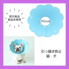 即日発送☆ 猫 犬　傷舐め防止 引っ掻き防止 傷口保護 XS