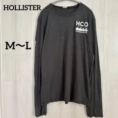 ホリスター HOLLISTER ロンT 袖ロゴ M グレー 綿 カリフォルニア