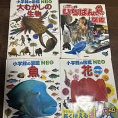 図鑑　魚、花、大昔の生物、いちばんの図鑑