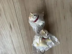 拒否犬ストラップ2
