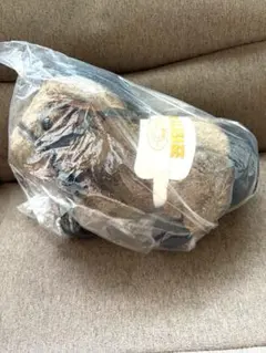 AVANTI社製 Sサイズ ぬいぐるみ 馬ぐるみ マイネルキッツ 天皇賞