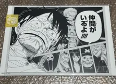 ONE PIECE ALL PAGES ルフィ　麦わら一味