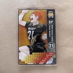 ハイキュー!! 日向翔陽 ステータスカードコレクション