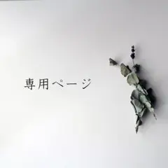 専用ページ