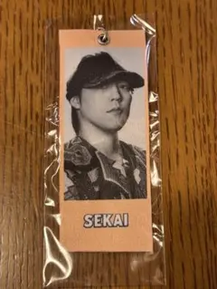 EXILE THE REASON ガチャ 世界 めじるしタグ