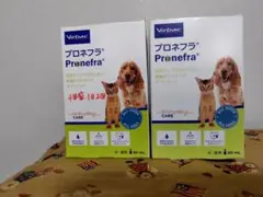 Item thumbnail for item 0a29a1c9-71ba-4d30-a5f0-eef0b9d6a86b