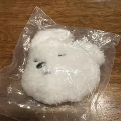 【未開封】yeyeムンゲ　ぬいぐるみクリップ　韓国　ガチャ　ヘアクリップ