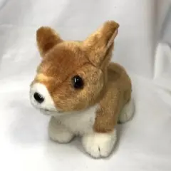 Item thumbnail for item 19b580d0-b05b-41bf-9968-c3f34beda019