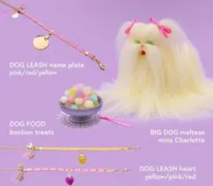 リアル セキセイインコ 中雛 オパーリン オーダー品 - メルカリ