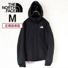 THE NORTH FACE マウンテンパーカー レディースM