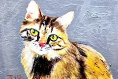 猫の絵◇猫◇新品 美品【水性絵具/パステル/色鉛筆】◇防水&丁寧梱包