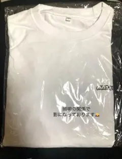 受注生産品】MAZZEL ROOM まぜべや ヘビーウェイトロンTシャツ M