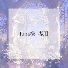 プレインシート　専用