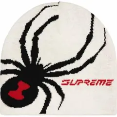 2026年最新】supreme spyder beanieの人気アイテム - メルカリ