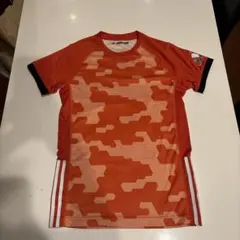 Item thumbnail for item b4fe28a2-2d8a-4007-be66-fcd2e2ecad81