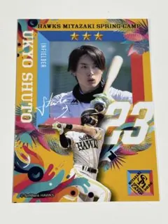 2026年最新】福岡ソフトバンクホークス タカコレの人気アイテム - メルカリ