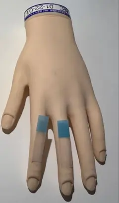 JENC 認定モデルハンド　左手