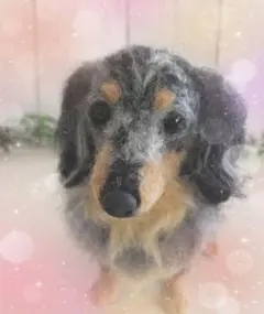 みいたん♡様専用♡うちの子オーダー♡羊毛フェルト♪ハンドメイド☆