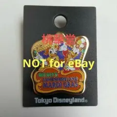 TDL ディズニー ドナルドダック ドナルド デイジー イベント限定 ピンバッジ