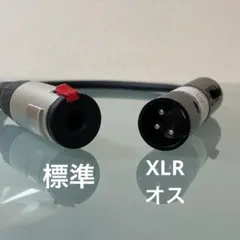 Item thumbnail for item c8980204-92f0-4386-9f22-5381036712b9